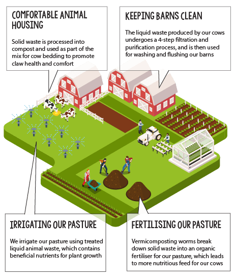 39_sustainable dairy farming-02