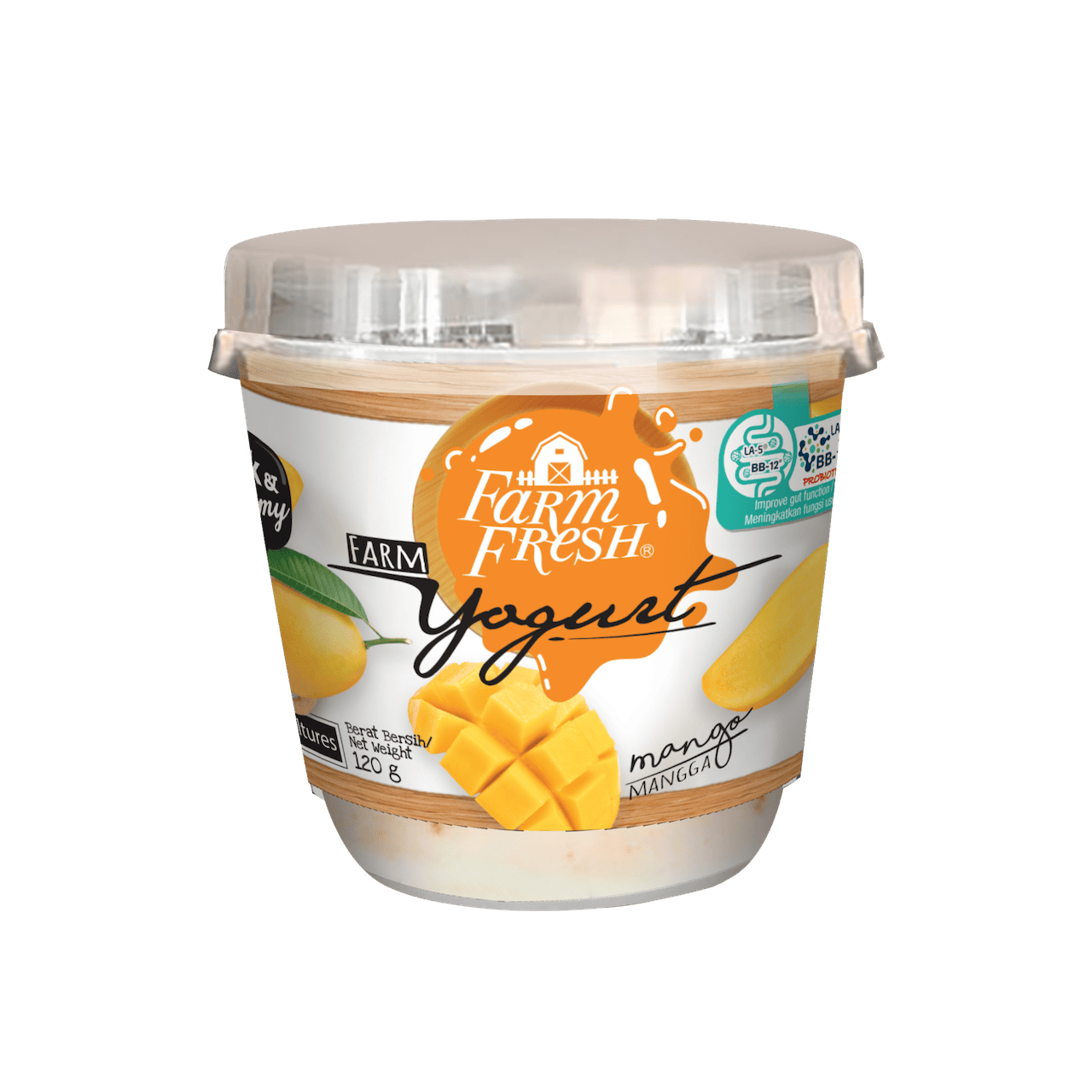 Mango Yogurt